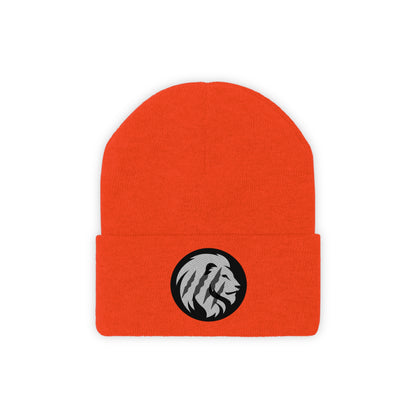 Pride Baseball Embroidered Knit Beanie
