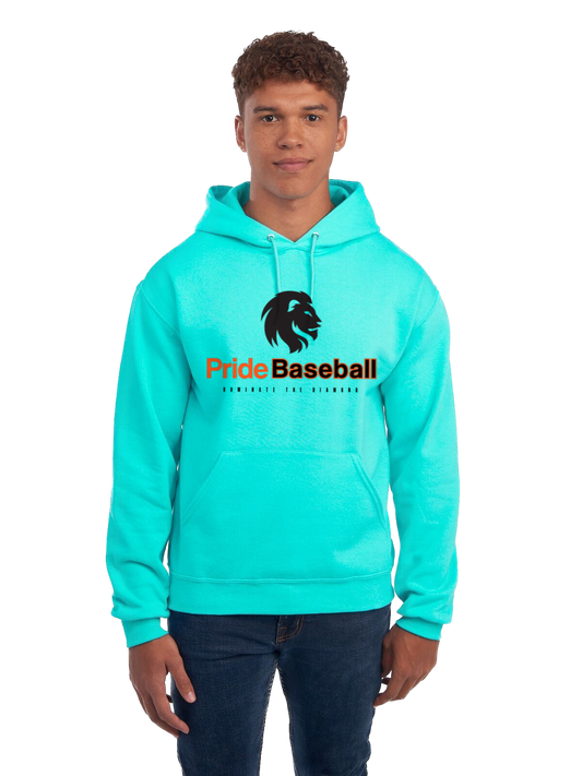 ADULT Pride Baseball "Dominate the Diamond" Hoodie